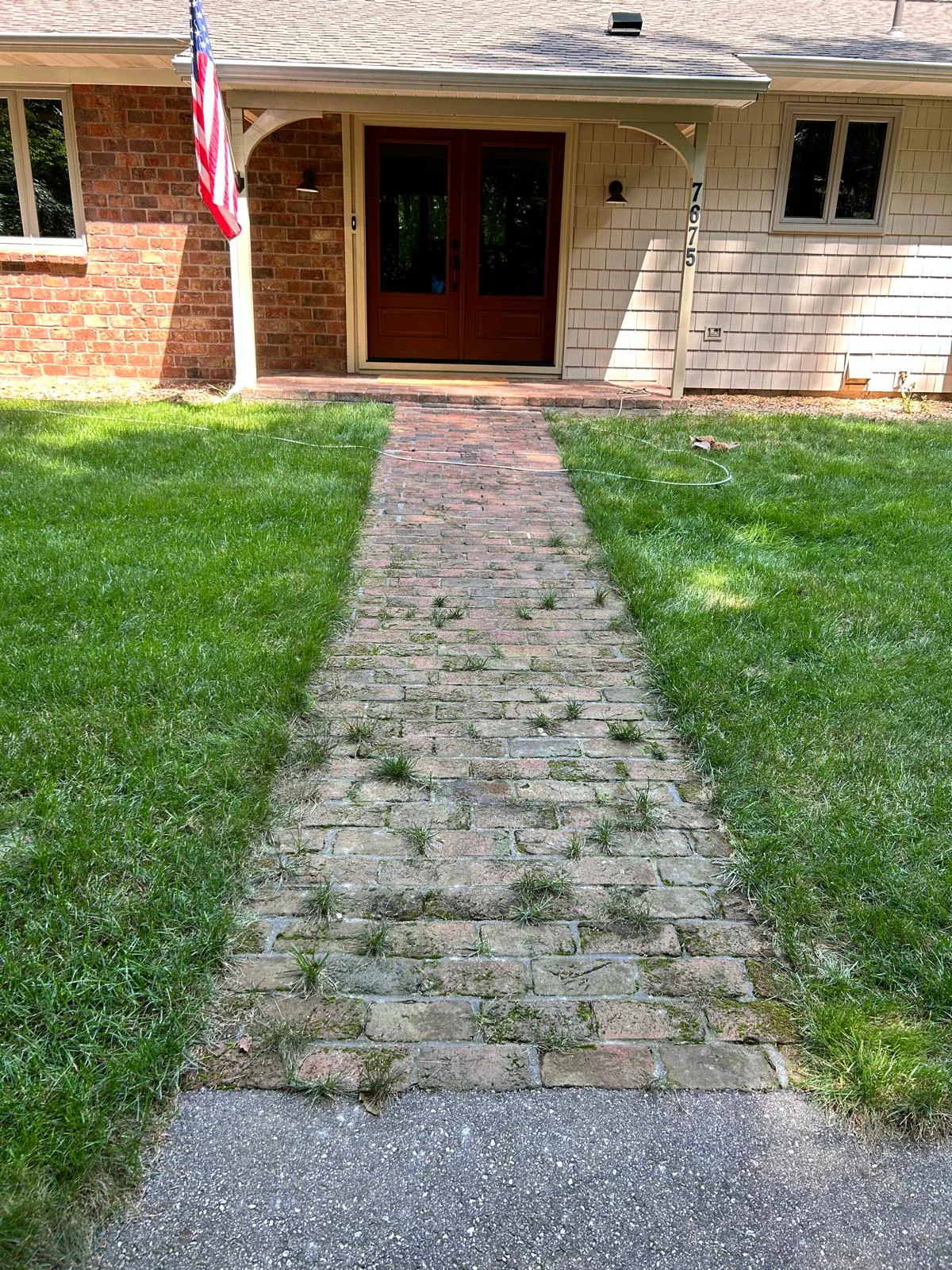 Overgrown brick walkway before restoration work